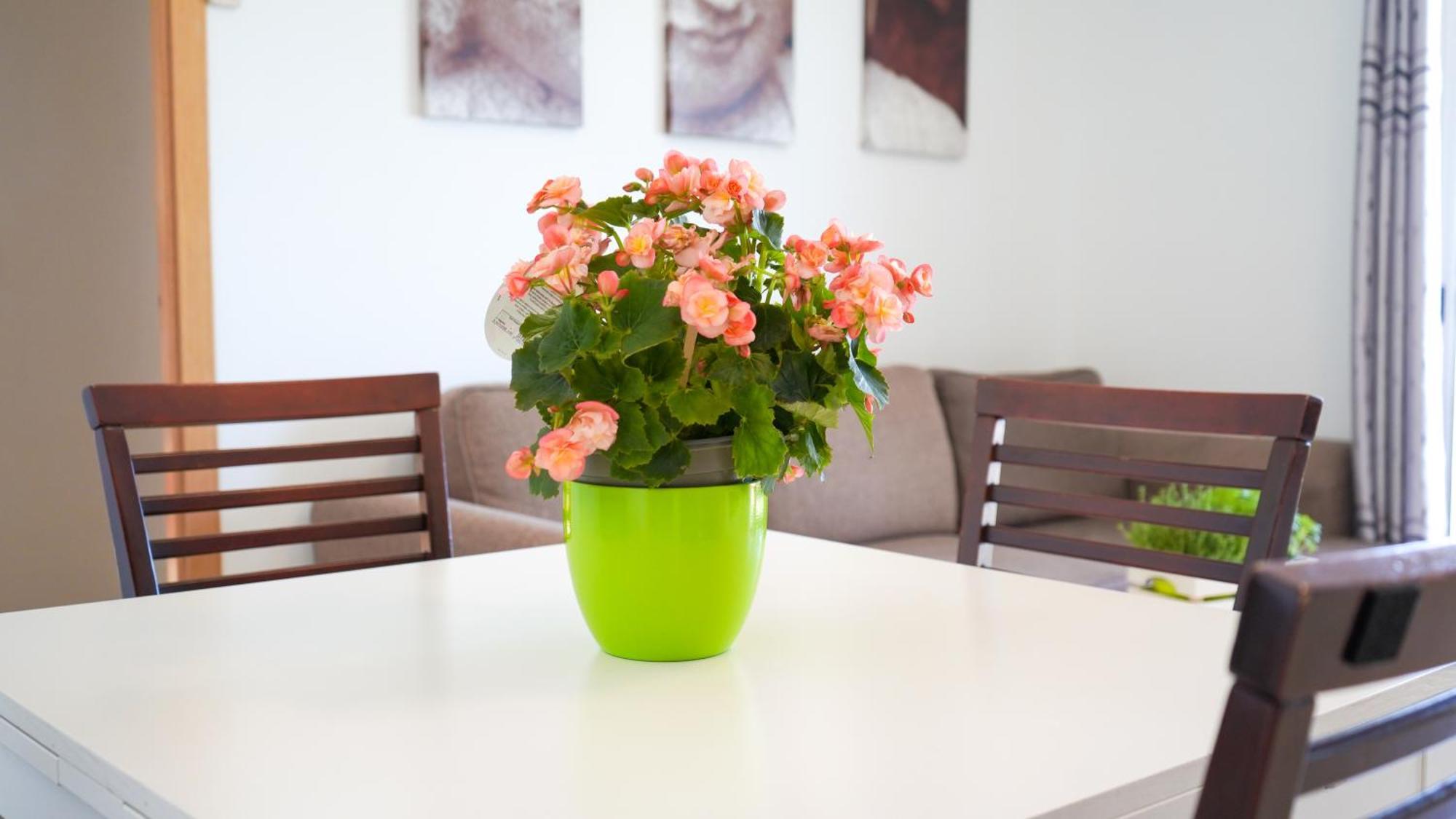 Apartament Lo Cor Del Delta 산트 하우메 덴베하 외부 사진