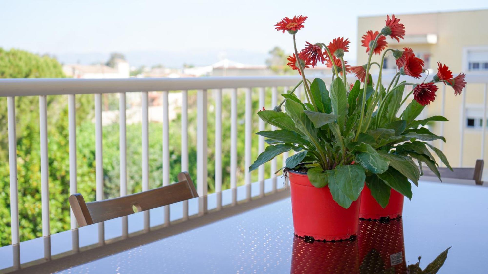 Apartament Lo Cor Del Delta 산트 하우메 덴베하 외부 사진